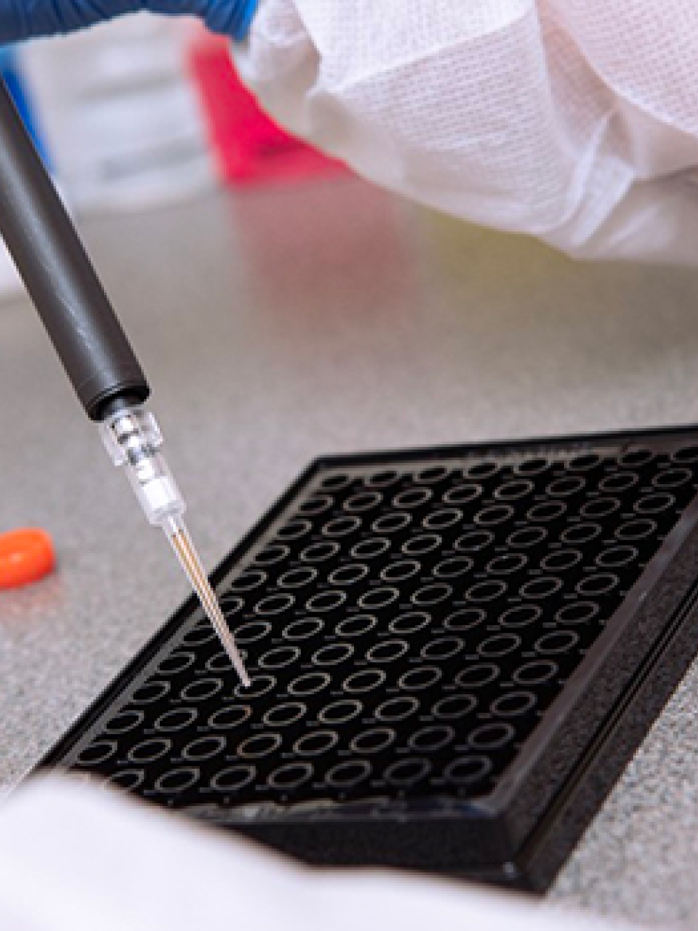 Main en gants bleus utilisant une micropipette pour déposer un liquide dans une plaque de microtitration noire, sur une surface de laboratoire avec un tube à échantillon orange et un bouchon à proximité.