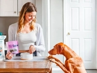 Personne dans une cuisine préparant de la nourriture pour chien sur un comptoir, avec un chien assis en face et des produits pour animaux posés à côté.