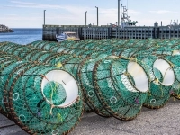 Casiers de pêche aux homard